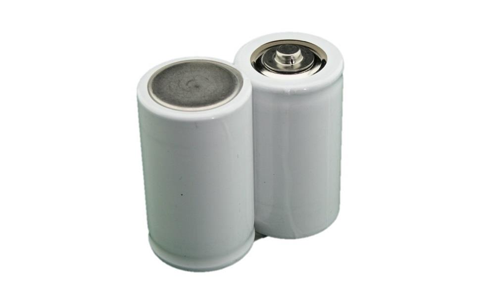 RINGTAIL Noodverlichting Pack D NT SBS 2,4V 4000mAh