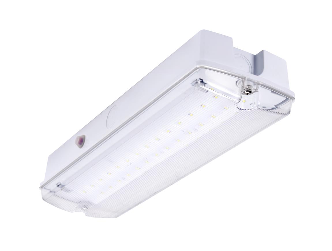 ORION LED 100 3h M/NM AT  [Auto-Test]