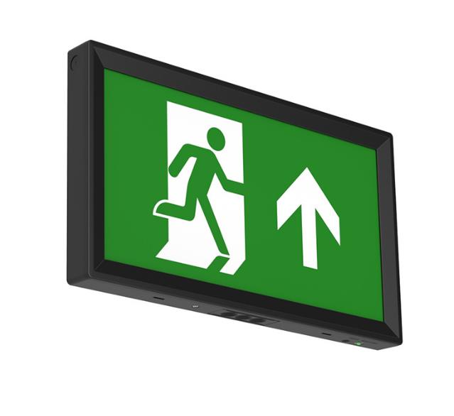 Noodverlichting COLIBRI 3.5W IP20 100LM AUTOTEST ZWART