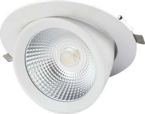 Cardanische Downlighter SLG61 D190 4000K 40W  voorzien van NV+AT